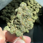 Bulk THCa Flower - Apple Fritters