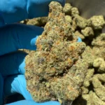 candy-lotto-bulk-flower