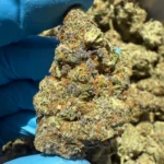 iStar Distro bulk flower mendo crumble