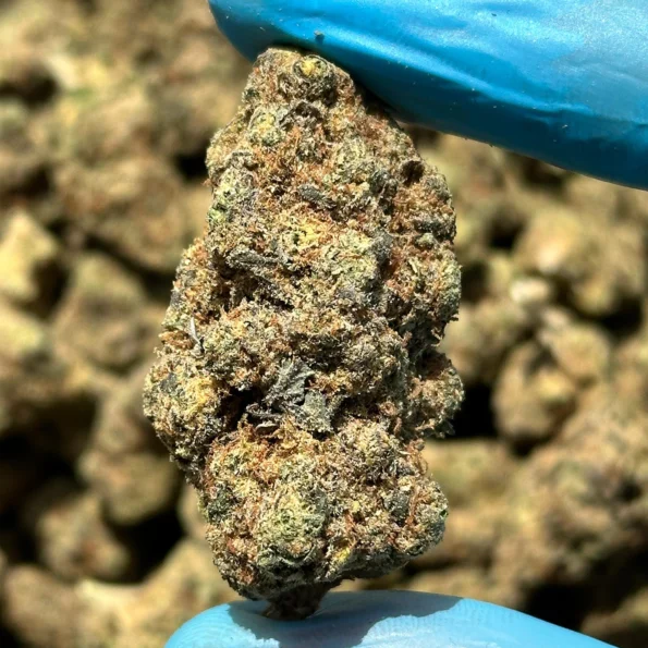 iStar's Girl Scout Cookies bulk flower