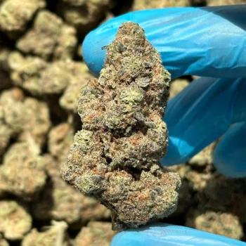 iStar's Big Oreo bulk flower