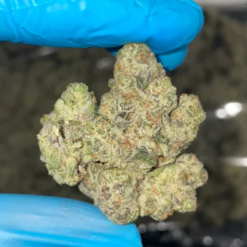 iStar Cap Junky bulk flower