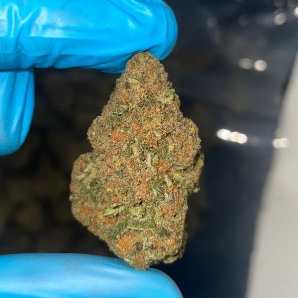 iStar's Dantes Inferno bulk flower