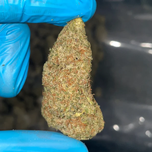 iStar's Frozen Lemons Bulk THCp flower