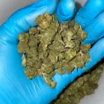 lcg-smalls-bulk-flower