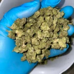 iStar's london truffle smalls bulk flower