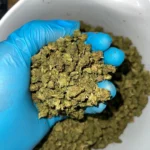 iStar's Platinum OG smalls bulk flower