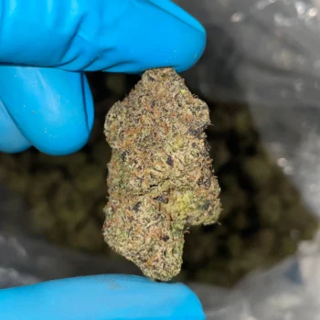 iStar's runtz x alien bulk flower
