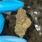 iStar's runtz x jealousy bulk flower