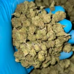 iStar's Shake Shack smalls bulk flower