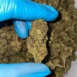 slurty-bulk-flower