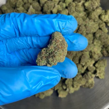 sour-diesel-bulk-flower-1