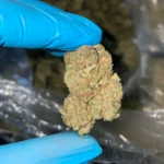iStar's bulk flower Super Boof