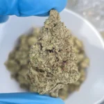 iStar's THCp bulk flower Green Crack