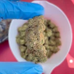 iStar bolo runtz bulk flower