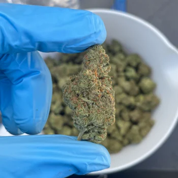 Green Crack bulk flower G