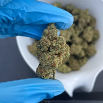 guava bulk flower g