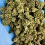 ice-cream-cake-bulk-flower