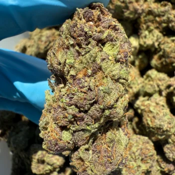 iStar's Trop Cherry flower (B)