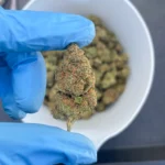 zoap-bulk-flower-g