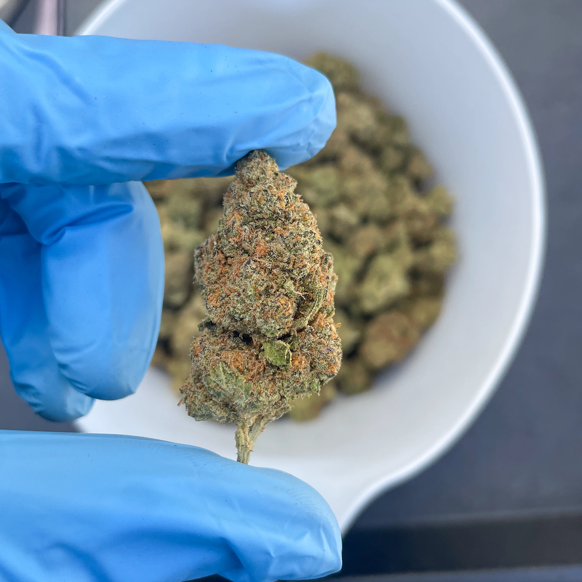 zoap-bulk-flower-g zoap-bulk-flower-g