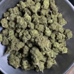 golden-goat-bulk-flower-3