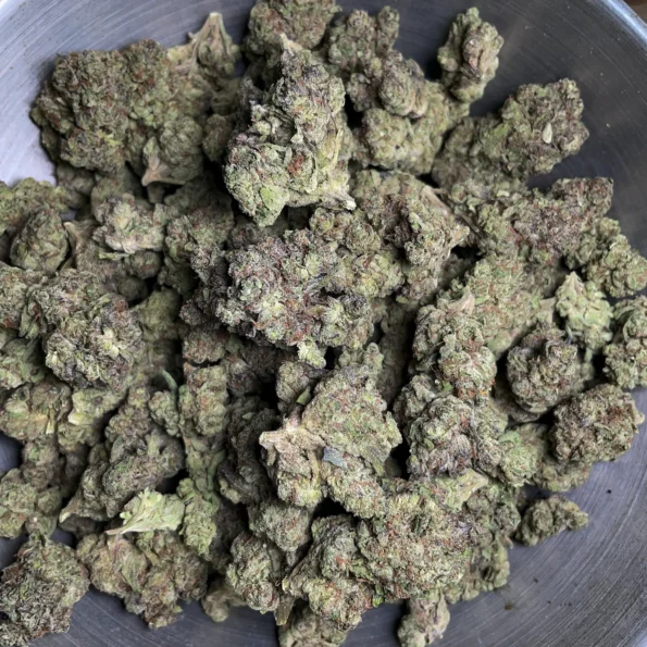 gusher bulk flower 4