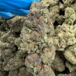 ice cream cake bulk flower