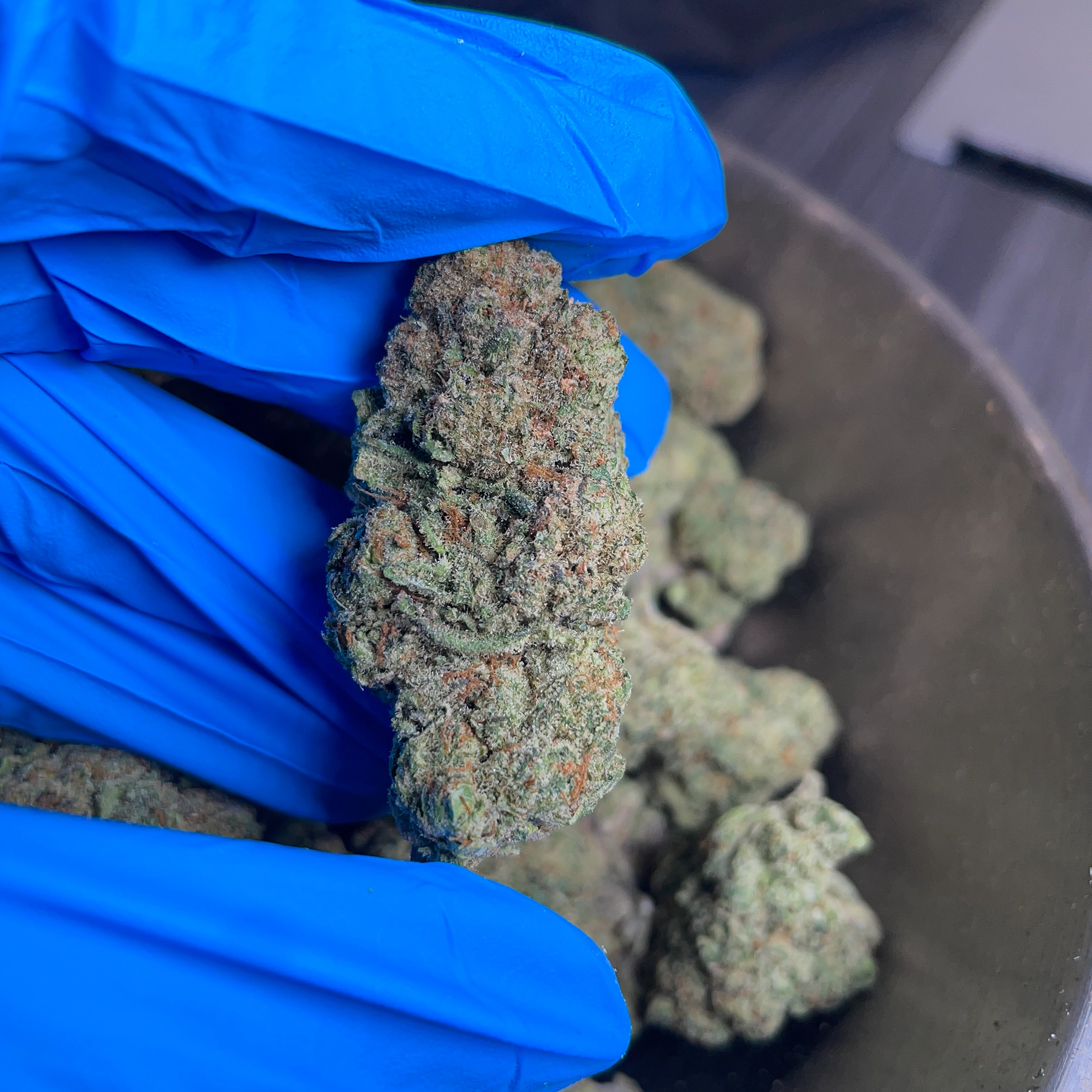 mochi-bulk-flower-p mochi bulk flower lb