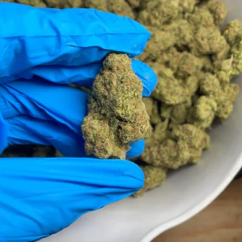 mule fuel flower 1