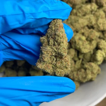 mule fuel flower 2