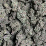 strawberry-cough-bulk-flower-3