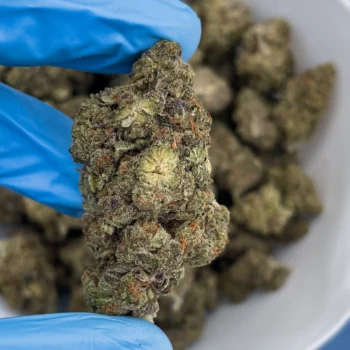 tropicana cookies bulk flower image