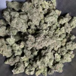 white-widown-bulk-flower-1