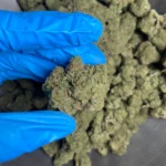 animal-face-bulk-flower-1