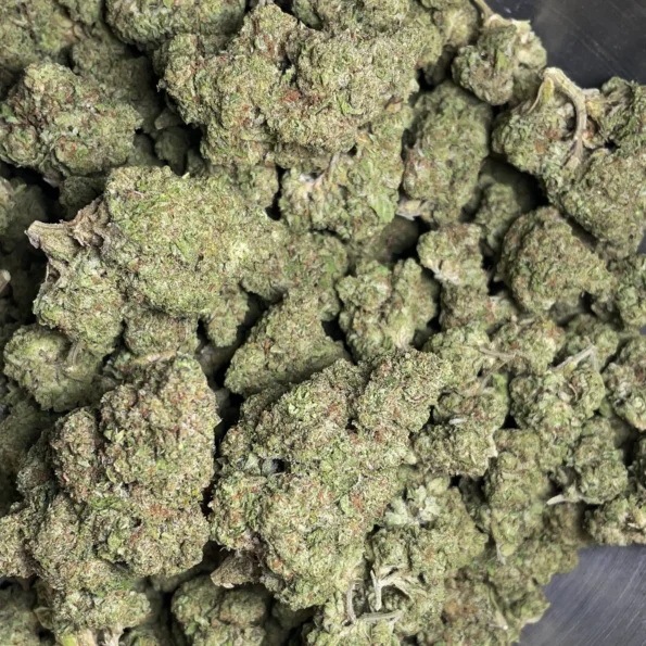 animal-face-bulk-flower-4