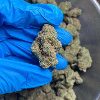 Blackberry super boof flower 1