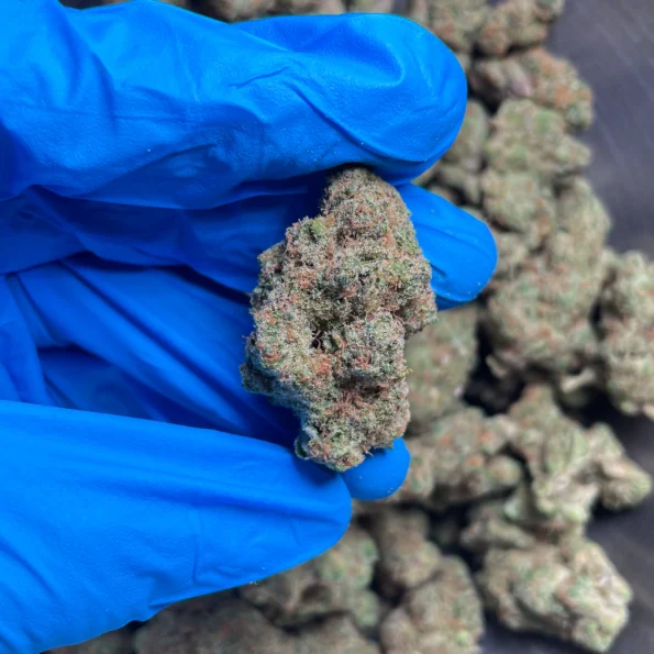 blackberry super boof flower 2