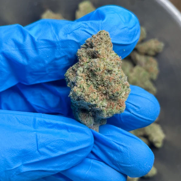 blackberry super boof flower 3