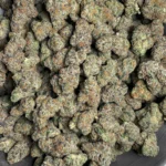 cadillac-bulk-flower-2