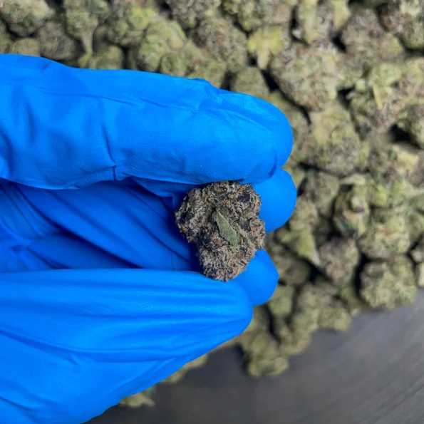 candy gas bulk flower 3