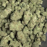 cinderella-99-bulk-flower-1