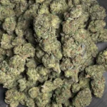 gmo-bulk-flower-1