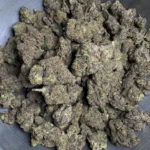 jealousy-bulk-flower-1
