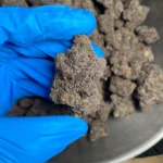 pink-runtz-bulk-flower-1