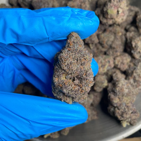 pink runtz bulk flower 3