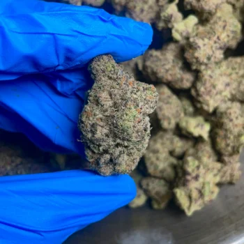 White chocolate bulk flower 2