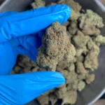 rum-cake-bulk-flower-1