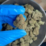 rum-cake-bulk-flower-1