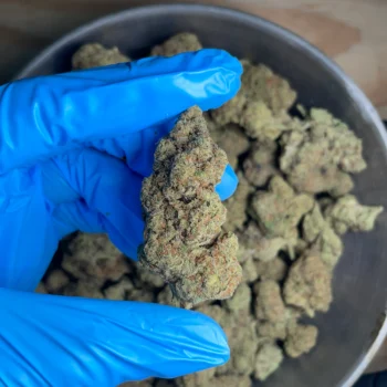 rum-cake-bulk-flower-3